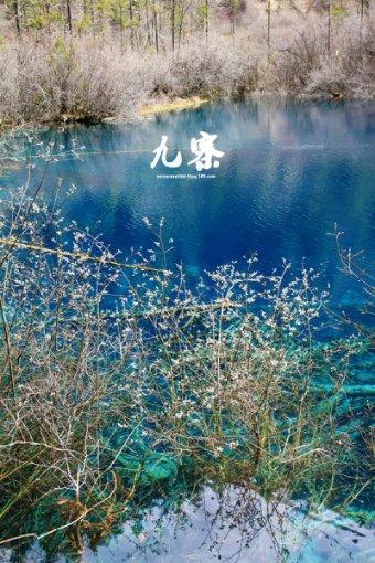 全国首个暗夜社区相关地方标准在深圳发布