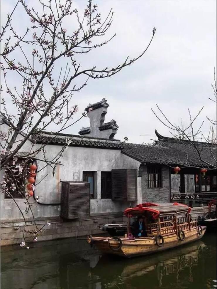 春雨直播app